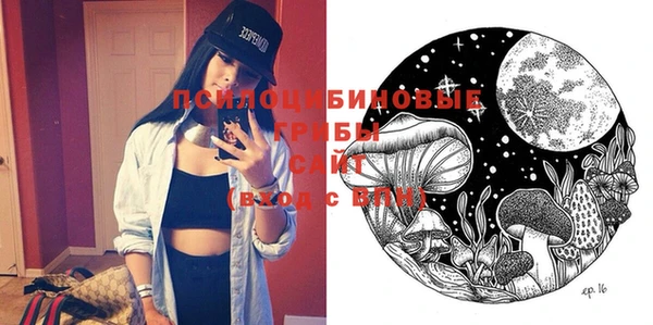 дмт Кодинск