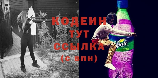 дмт Кодинск