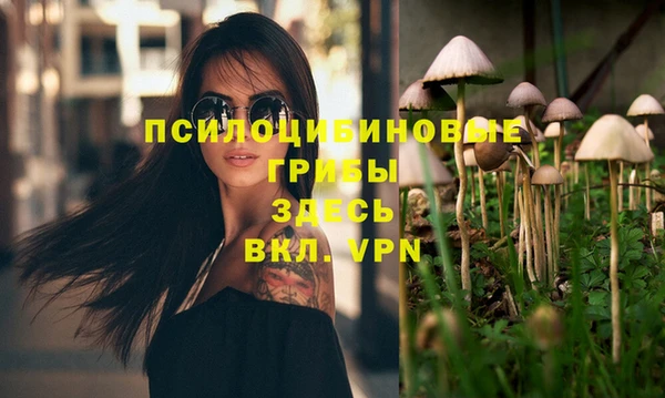 дмт Кодинск